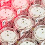 COSC Excellence Chronometer: new two-tier certification launching in 2026