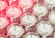 COSC Excellence Chronometer: new two-tier certification launching in 2026